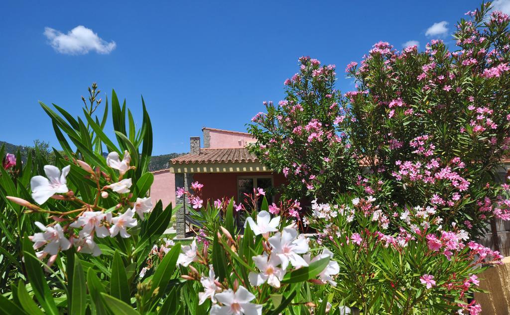 Affittacamere B&B La Villa Dei Graniti วิลลัสซีมีอุส ภายนอก รูปภาพ