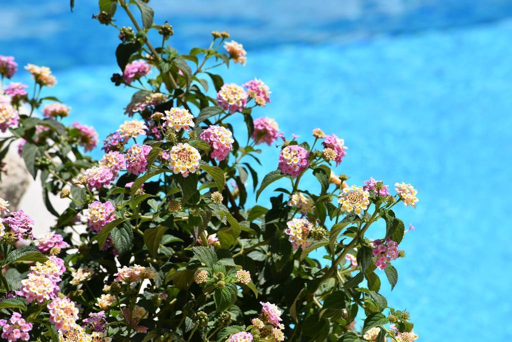 Affittacamere B&B La Villa Dei Graniti วิลลัสซีมีอุส ภายนอก รูปภาพ